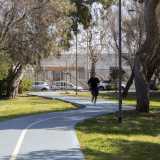 Questa parte del parco � per� apprezzata dai runners, che possono beneficiare di una lunga pista d�atletica realizzata negli anni 70